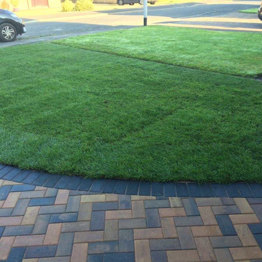 New Lawns 